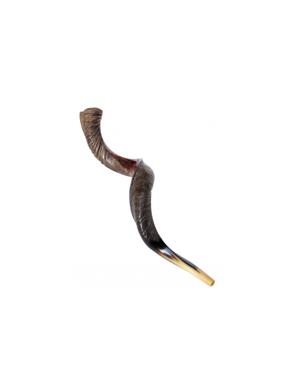 Extra Large Yéménite Kudu Shofar Demi-Poli Hal... | Offres spéciales