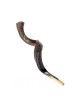 Extra Large Yéménite Kudu Shofar Demi-Poli Hal... | Offres spéciales