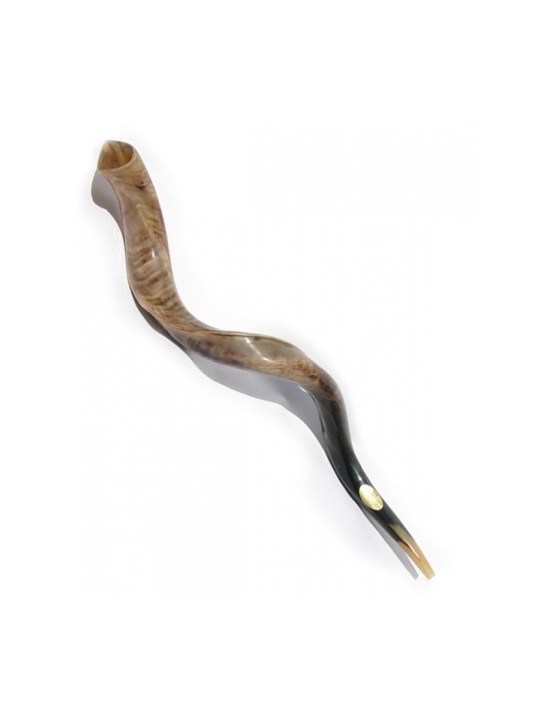 Extra Large Shofar Yéménite Kudu Poli | Meilleures ventes