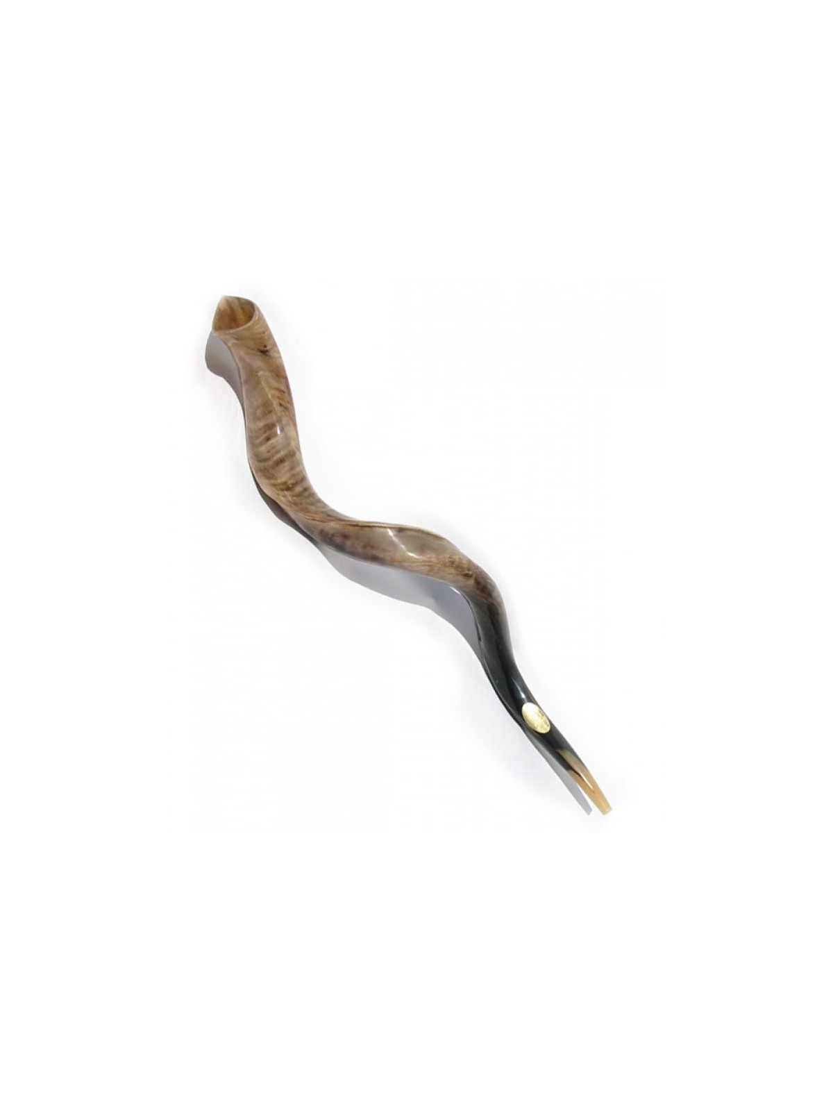 Extra Large Shofar Yéménite Kudu Poli | Meilleures ventes
