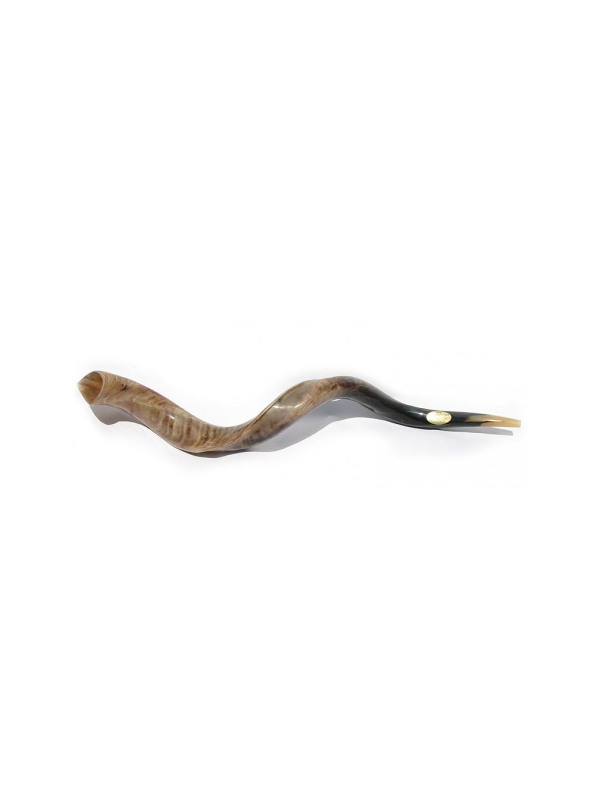 Extra Large Shofar Yéménite Kudu Poli | Meilleures ventes