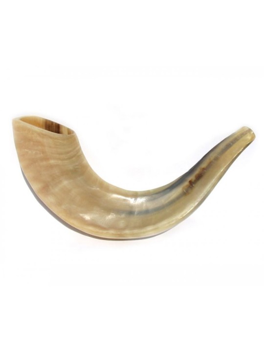Petit Shofar en corne de bélier poli | Shofars en corne de bélier