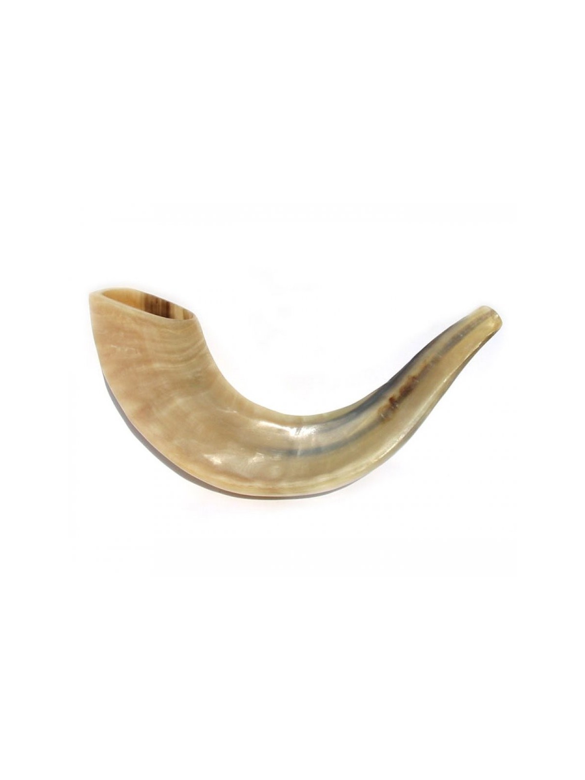 Petit Shofar en corne de bélier poli | Shofars en corne de bélier