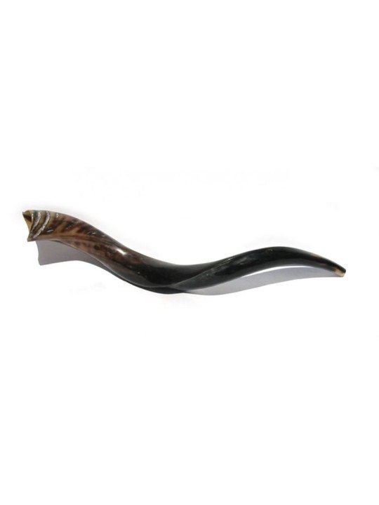 Shofar yéménite moyen poli | Shofars yéménites