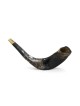 Shofar occidental en corne de bélier décoré et peint à la main... | Shofars décorés