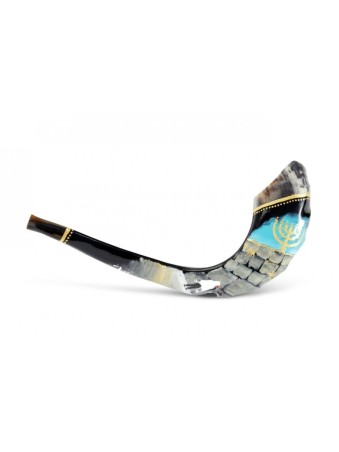 Decorated Hand Painted Rams Horn Shofar Western... | Decorated Shofars