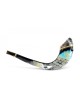 Decorated Hand Painted Rams Horn Shofar Western... | Decorated Shofars