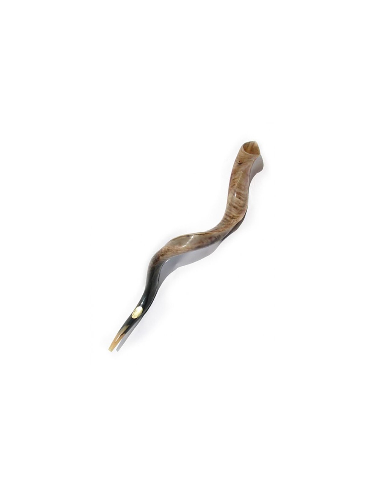 Shofar yéménite de haute qualité, corne casher polie | Vente de Shofar