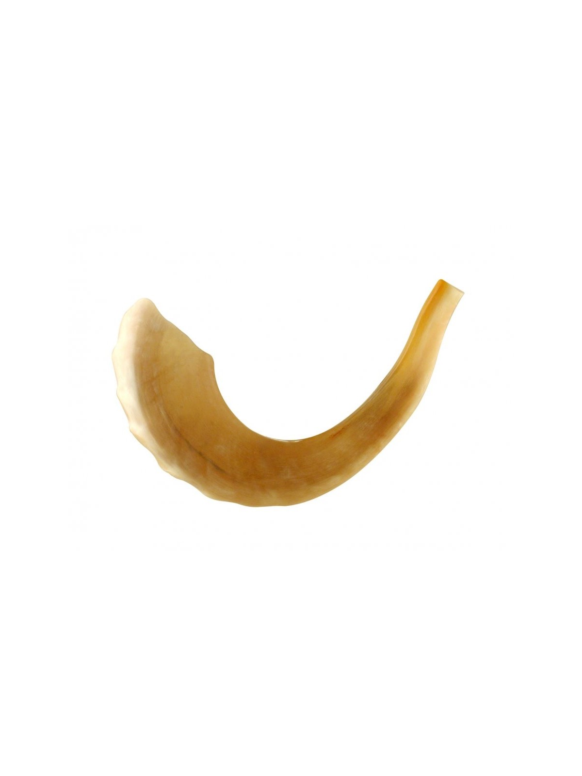 Grand Shofar casher en corne de bélier poli fabriqué en... | Shofars en corne de bélier