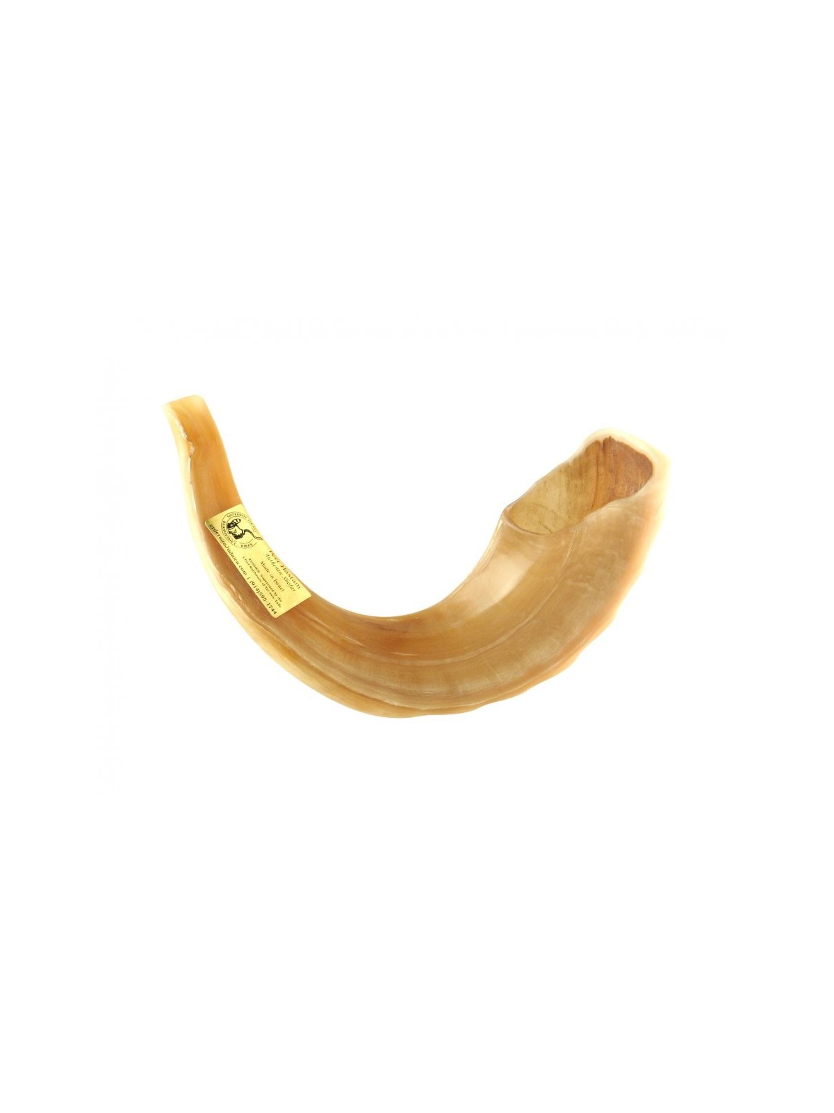 Grand Shofar casher en corne de bélier poli fabriqué en... | Shofars en corne de bélier