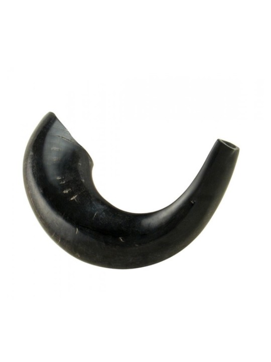 בינוני Rams Horn שופר עם גוונים כהים %96 Po... | ראמס הורן שופרס