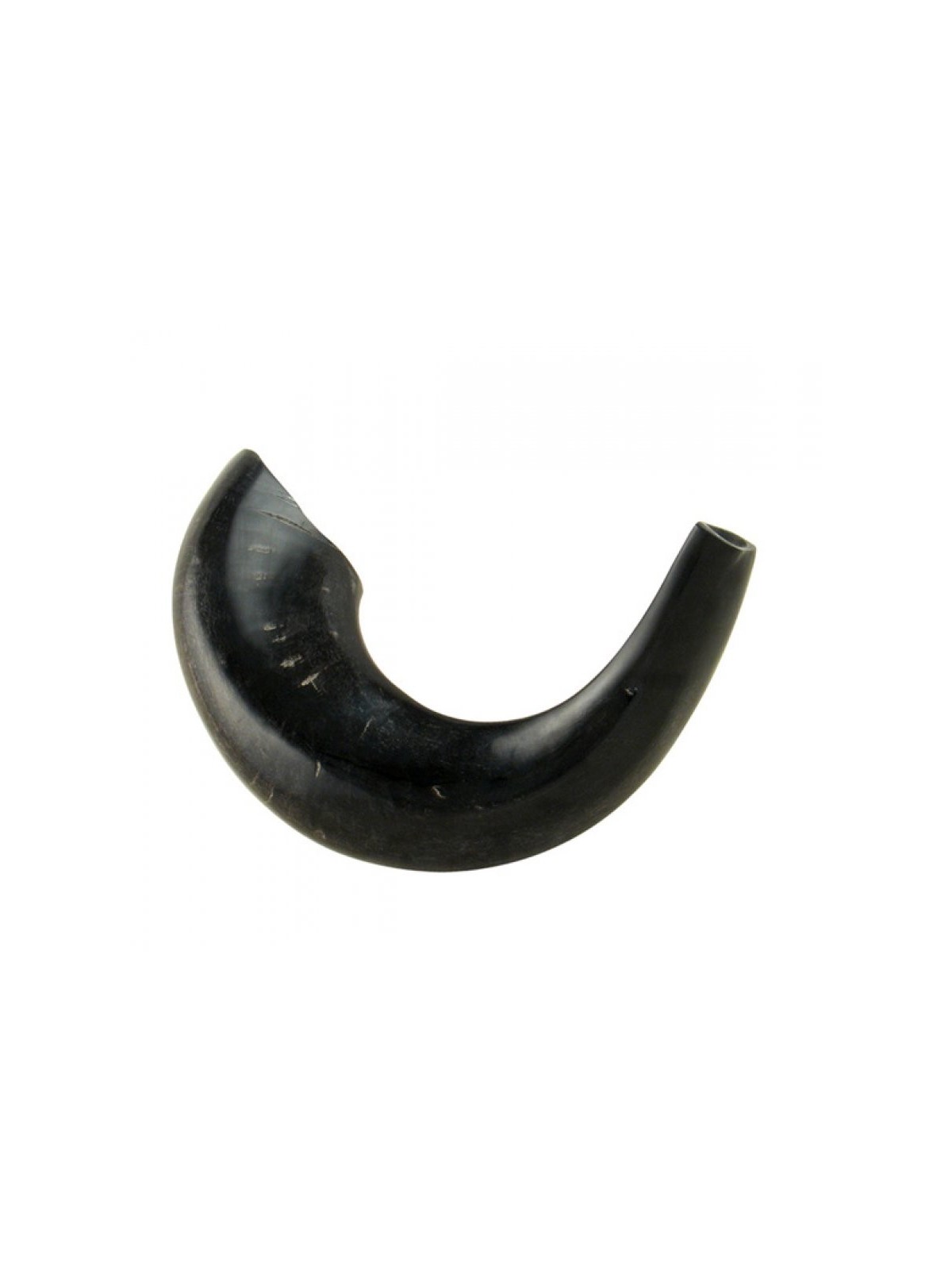 בינוני Rams Horn שופר עם גוונים כהים %96 Po... | ראמס הורן שופרס
