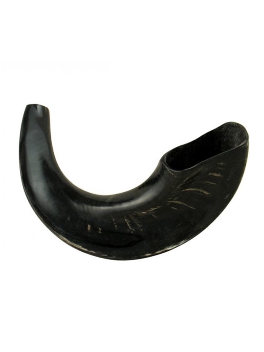 בינוני Rams Horn שופר עם גוונים כהים %96 Po... | ראמס הורן שופרס