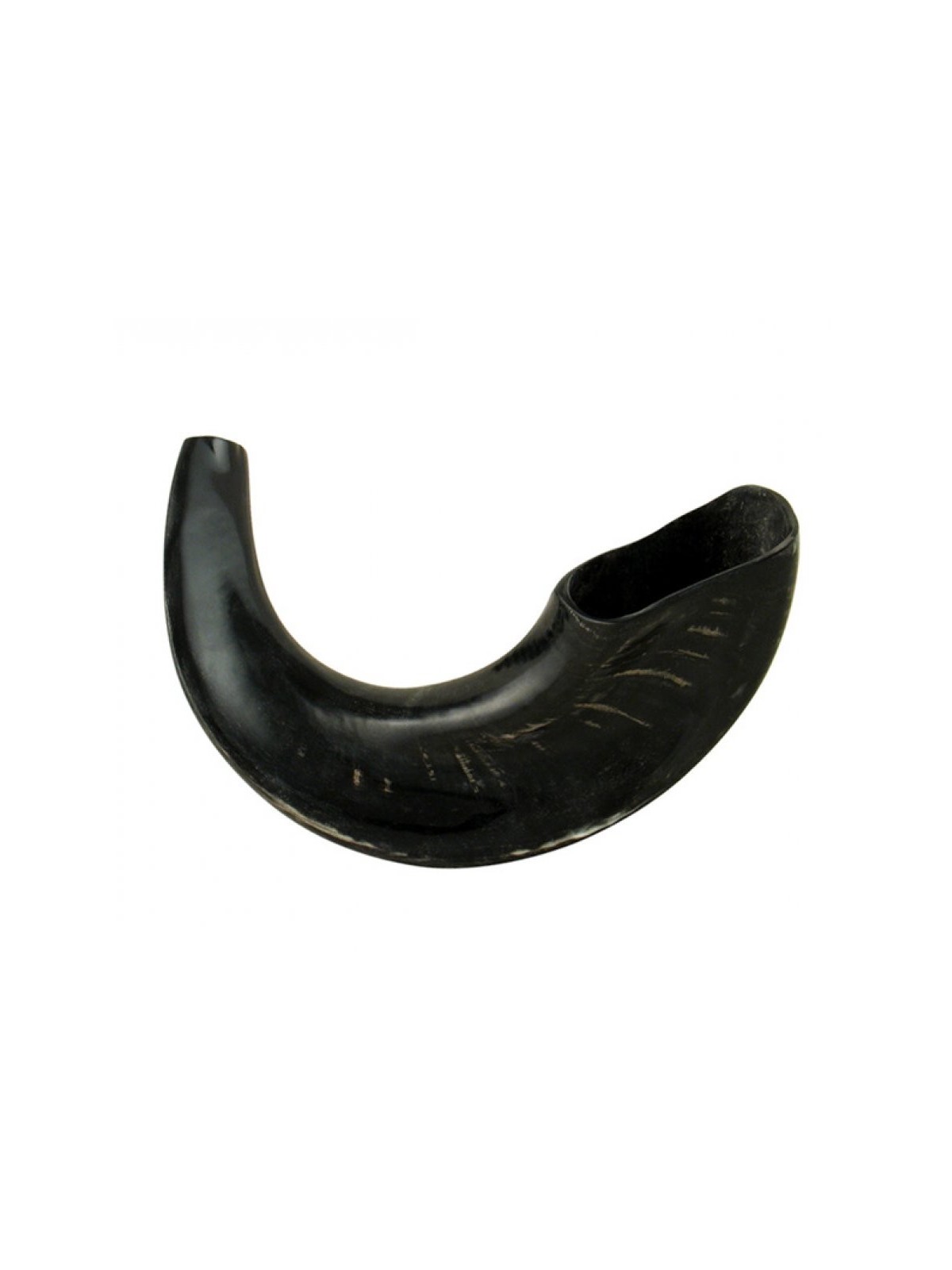 Shofar en corne de bélier moyen avec nuances sombres %96 Po... | Shofars en corne de bélier