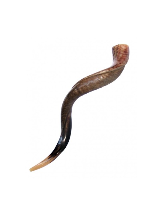 Large Yemenite Kudu Shofar Half Polished Half Na... | Yemenite Shofars
