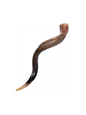 Grand Shofar Kudu yéménite à moitié poli, à moitié Na... | Shofars yéménites