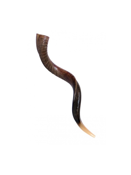 Grand Shofar Kudu yéménite à moitié poli, à moitié Na... | Shofars yéménites
