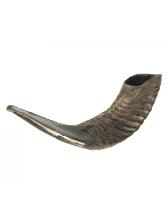 Shofar en corne de bélier noir moyen naturel | Shofars en corne de bélier