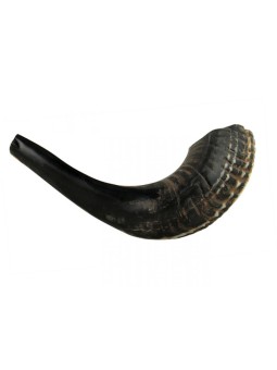 Small Black Rams Horn Shofar Natural | Rams Horn Shofars