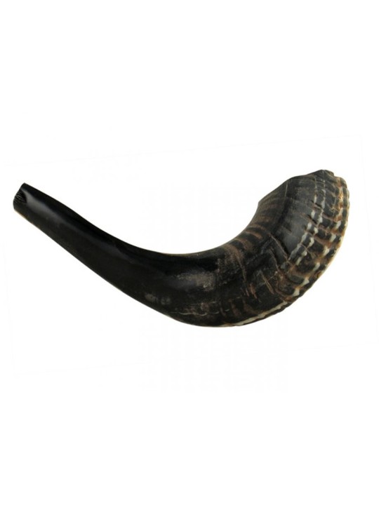 Petit Shofar en Corne de Bélier Noir Naturel | Shofars en corne de bélier