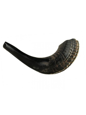 Petit Shofar en Corne de Bélier Noir Naturel | Shofars en corne de bélier