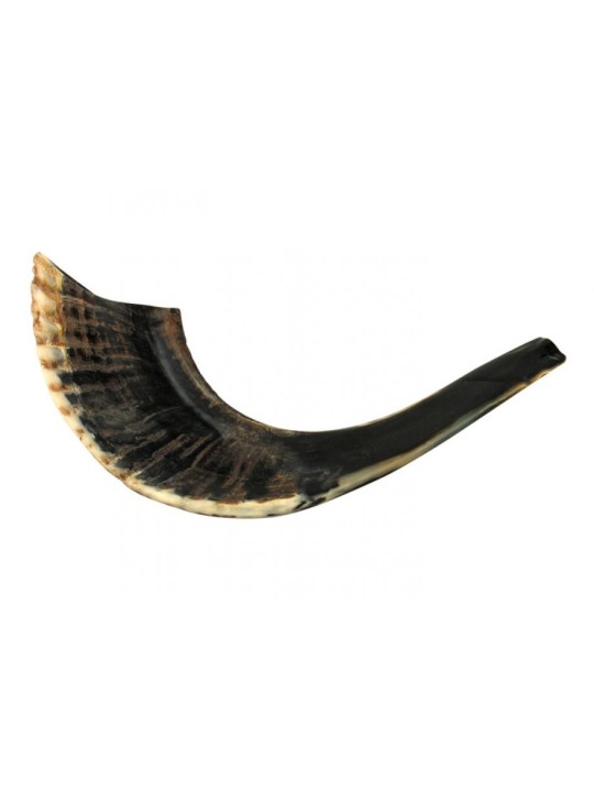 Petit Shofar en Corne de Bélier Noir Naturel | Shofars en corne de bélier