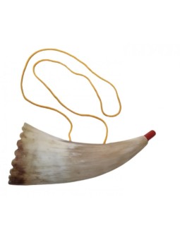 Shofar en corne de mouton véritable pour enfants avec... | Cadeaux de Roch Hachana