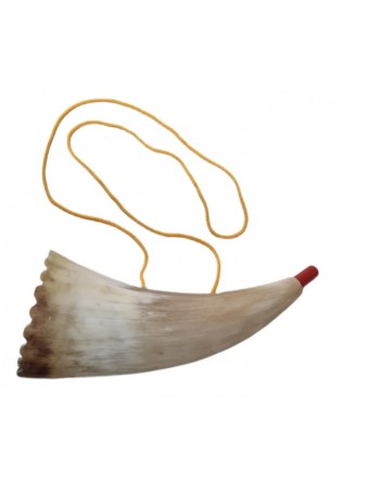 Childrens Real Sheep Horn Shofar with Plastic... | Rosh Hashanah Gifts