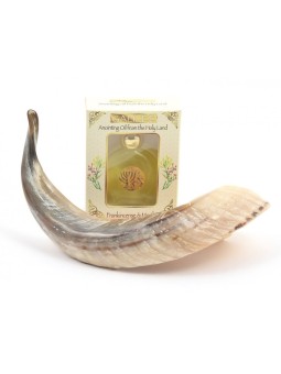 Anointing Shofar Made of a Natural Rams Horn Ga... | Rams Horn Shofars