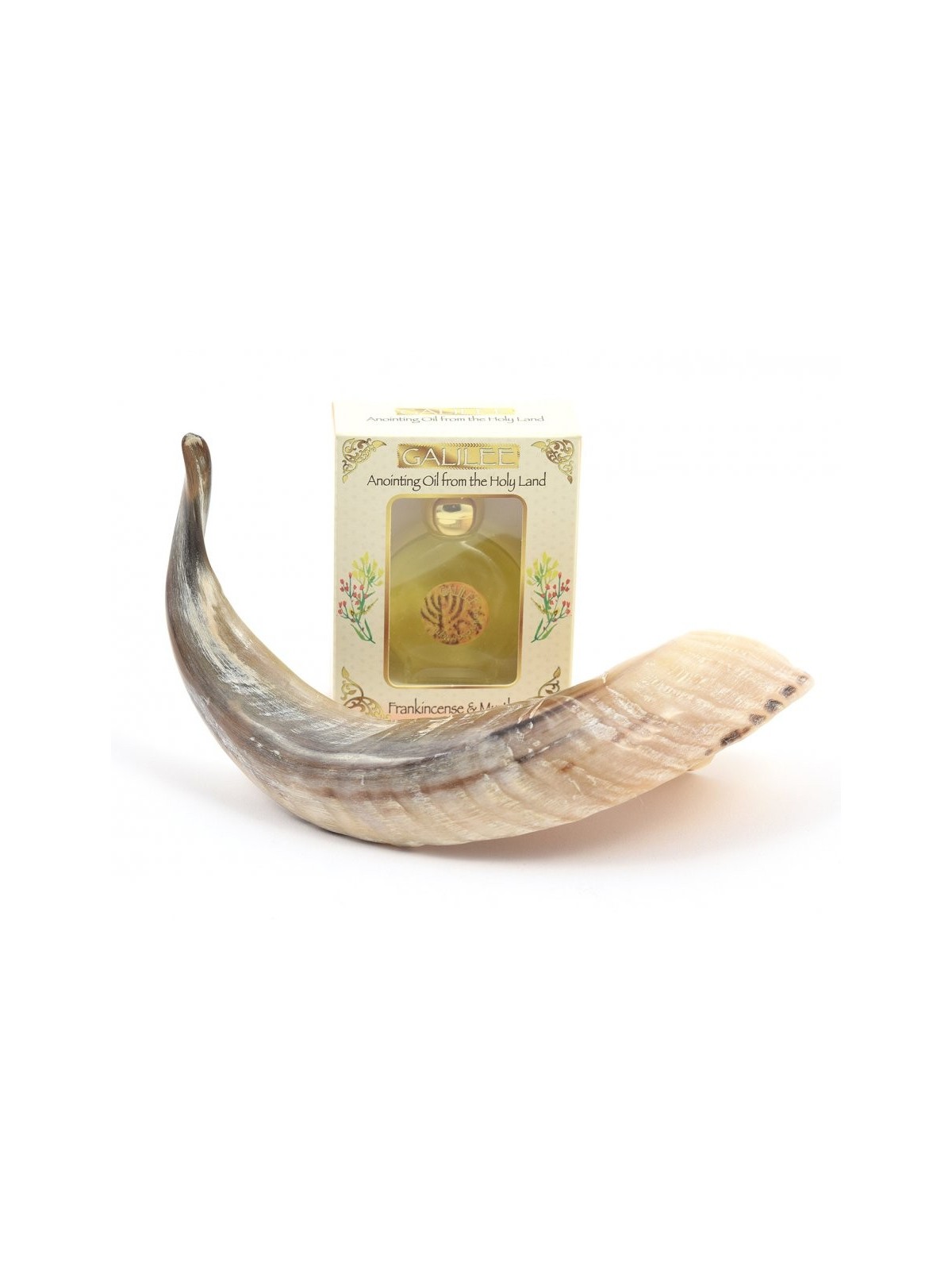 Shofar d'onction fait d'un Ga de corne de bélier naturel... | Shofars en corne de bélier