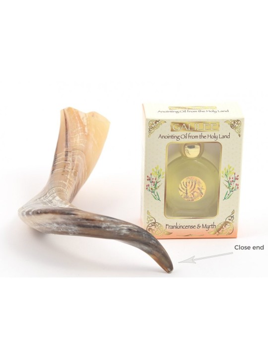 Shofar d'onction fait d'un Ga de corne de bélier naturel... | Shofars en corne de bélier