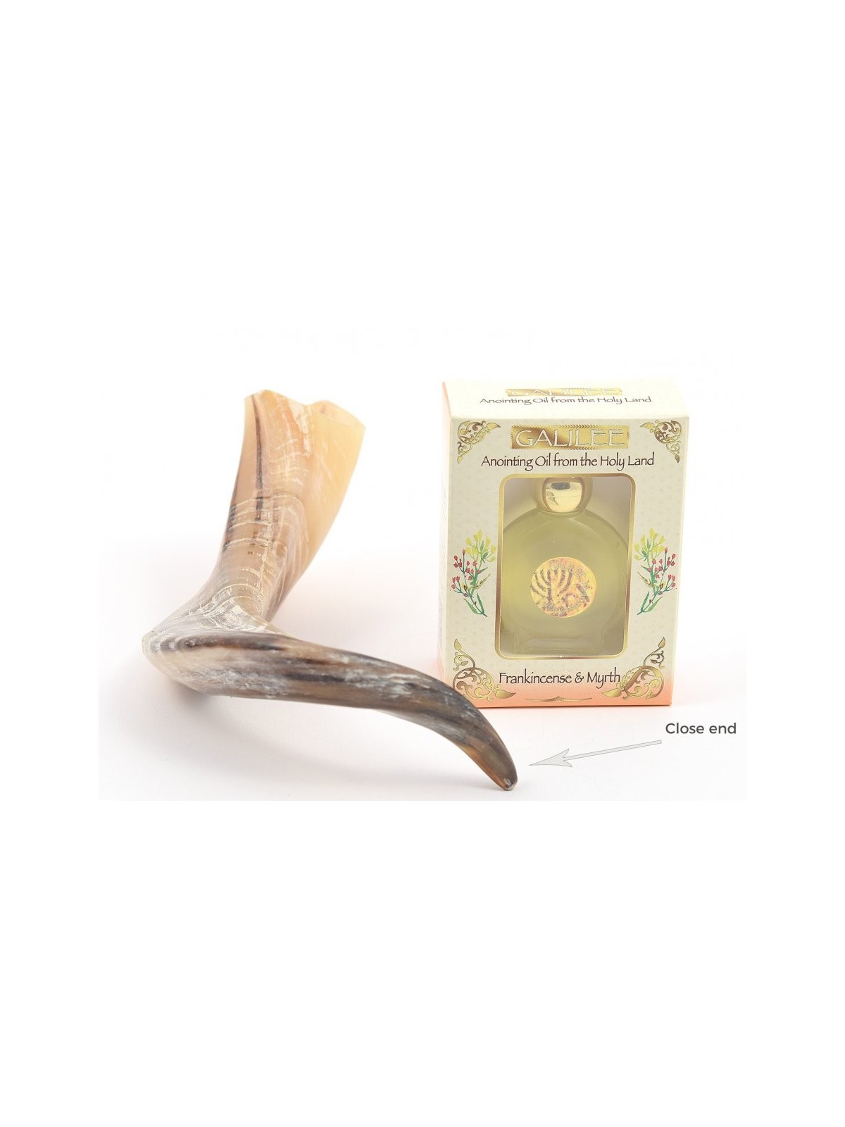 Shofar d'onction fait d'un Ga de corne de bélier naturel... | Shofars en corne de bélier