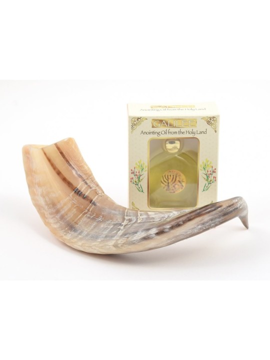 Anointing Shofar Made of a Natural Rams Horn Ga... | Rams Horn Shofars