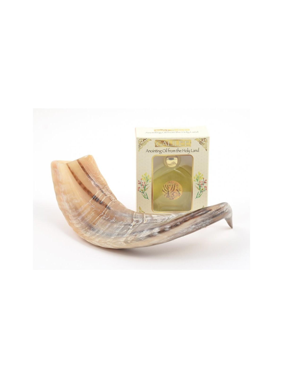 Shofar d'onction fait d'un Ga de corne de bélier naturel... | Shofars en corne de bélier