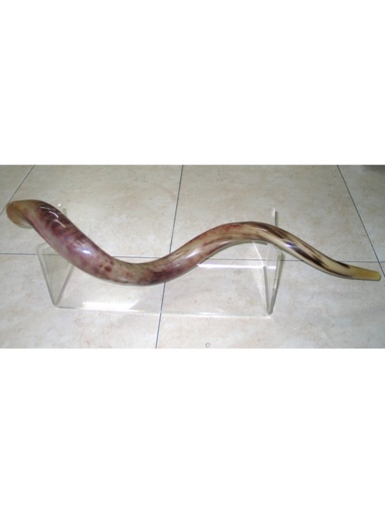 Support Lucite extra large pour Shofars yéménites 40 52... | Supports de Shofar