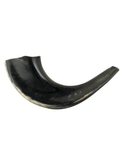 Petit Shofar en corne de bélier noir poli | Shofars en corne de bélier