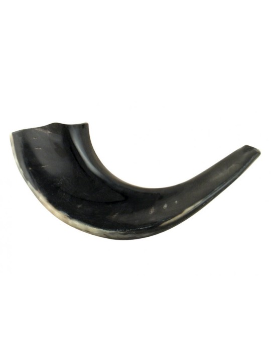Petit Shofar en corne de bélier noir poli | Shofars en corne de bélier
