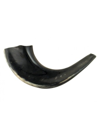 Petit Shofar en corne de bélier noir poli | Shofars en corne de bélier
