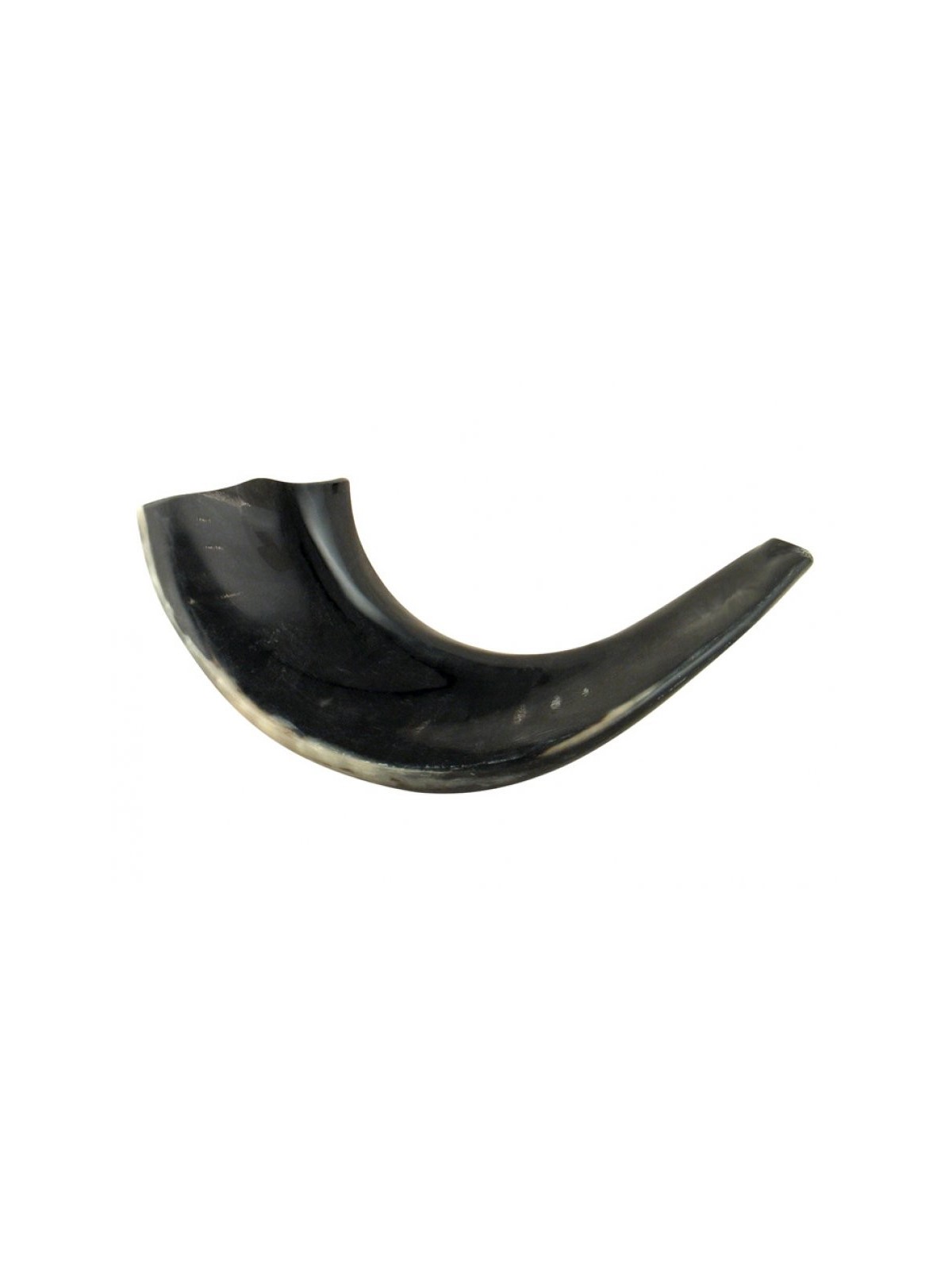 Petit Shofar en corne de bélier noir poli | Shofars en corne de bélier