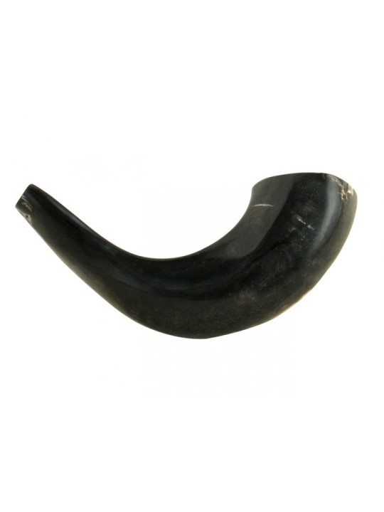 Petit Shofar en corne de bélier noir poli | Shofars en corne de bélier