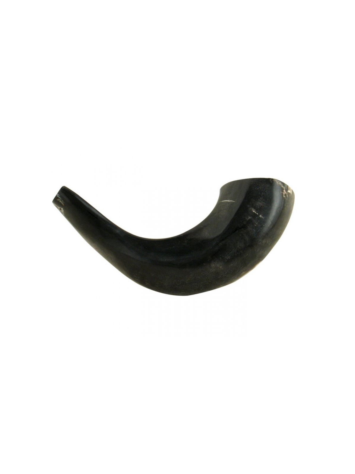 Petit Shofar en corne de bélier noir poli | Shofars en corne de bélier