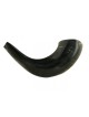 Petit Shofar en corne de bélier noir poli | Shofars en corne de bélier