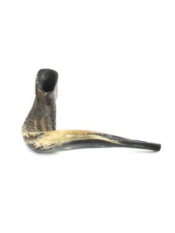 Shofar en corne de bélier extra large avec nuances sombres N... | Shofars en corne de bélier