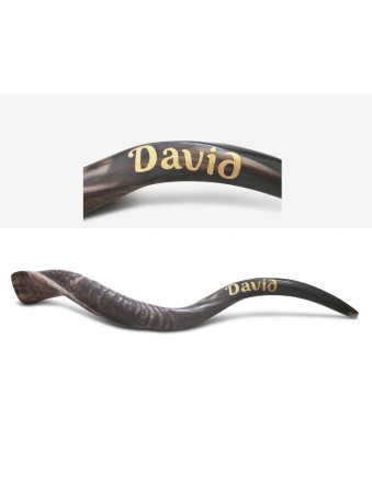 Shofar personnalisé Corne de Kudu yéménite inscrite... | Shofars yéménites