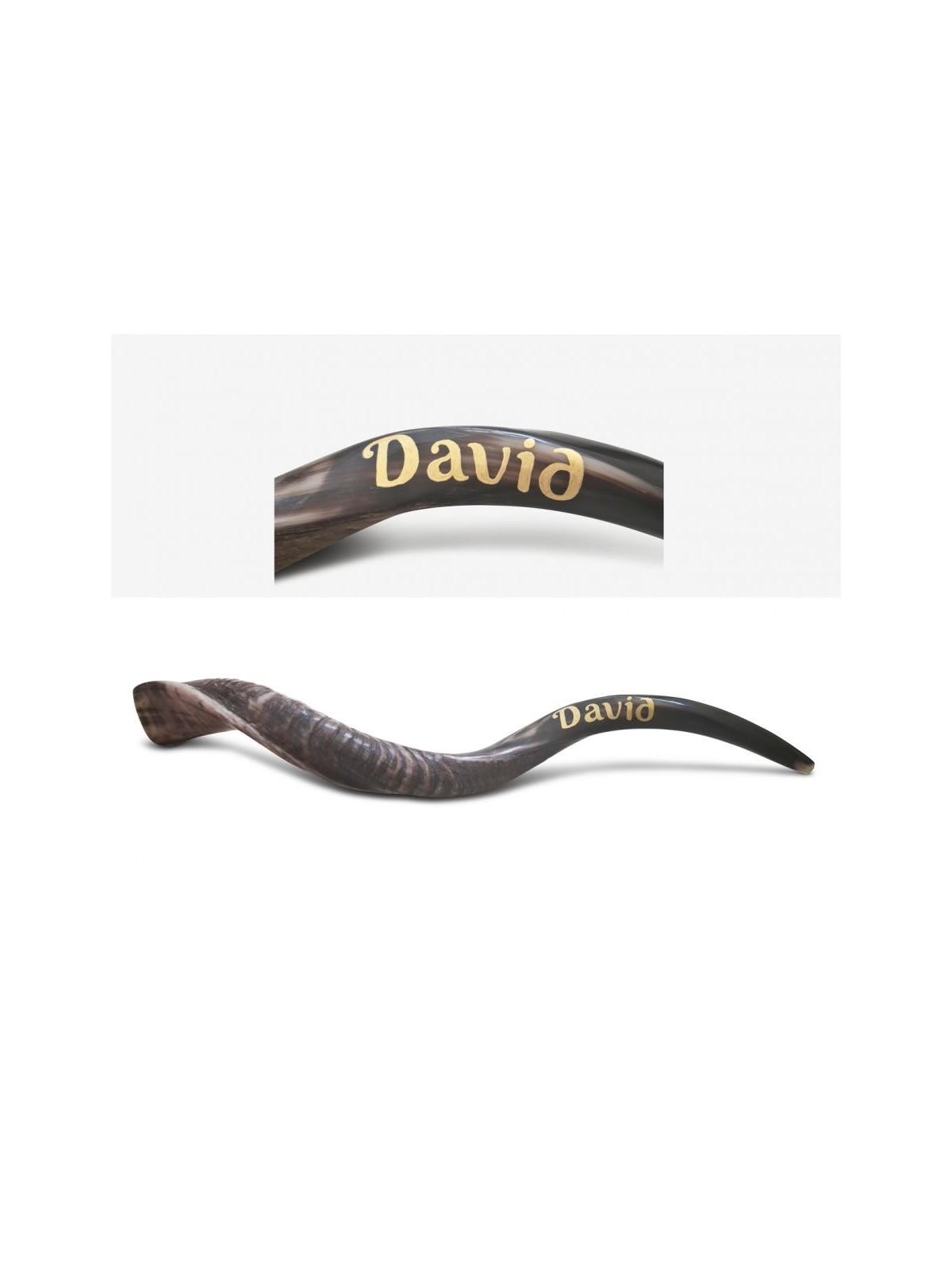 Shofar personnalisé Corne de Kudu yéménite inscrite... | Shofars yéménites