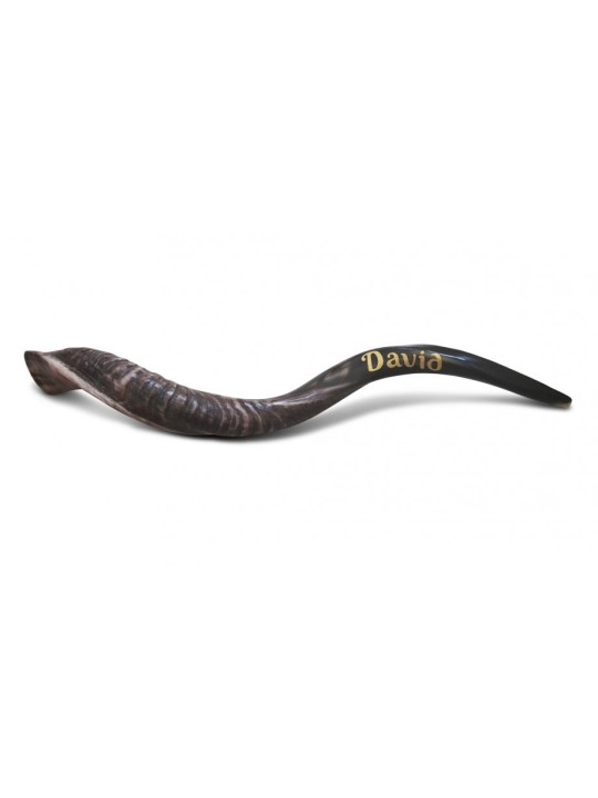 Shofar personnalisé Corne de Kudu yéménite inscrite... | Shofars yéménites