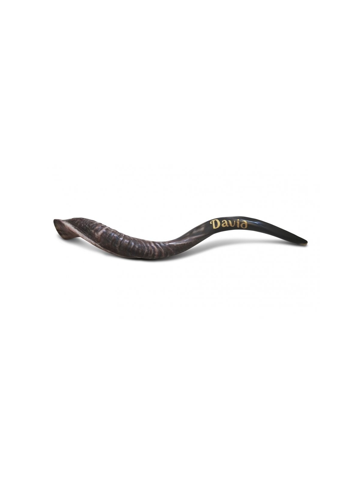 Shofar personnalisé Corne de Kudu yéménite inscrite... | Shofars yéménites
