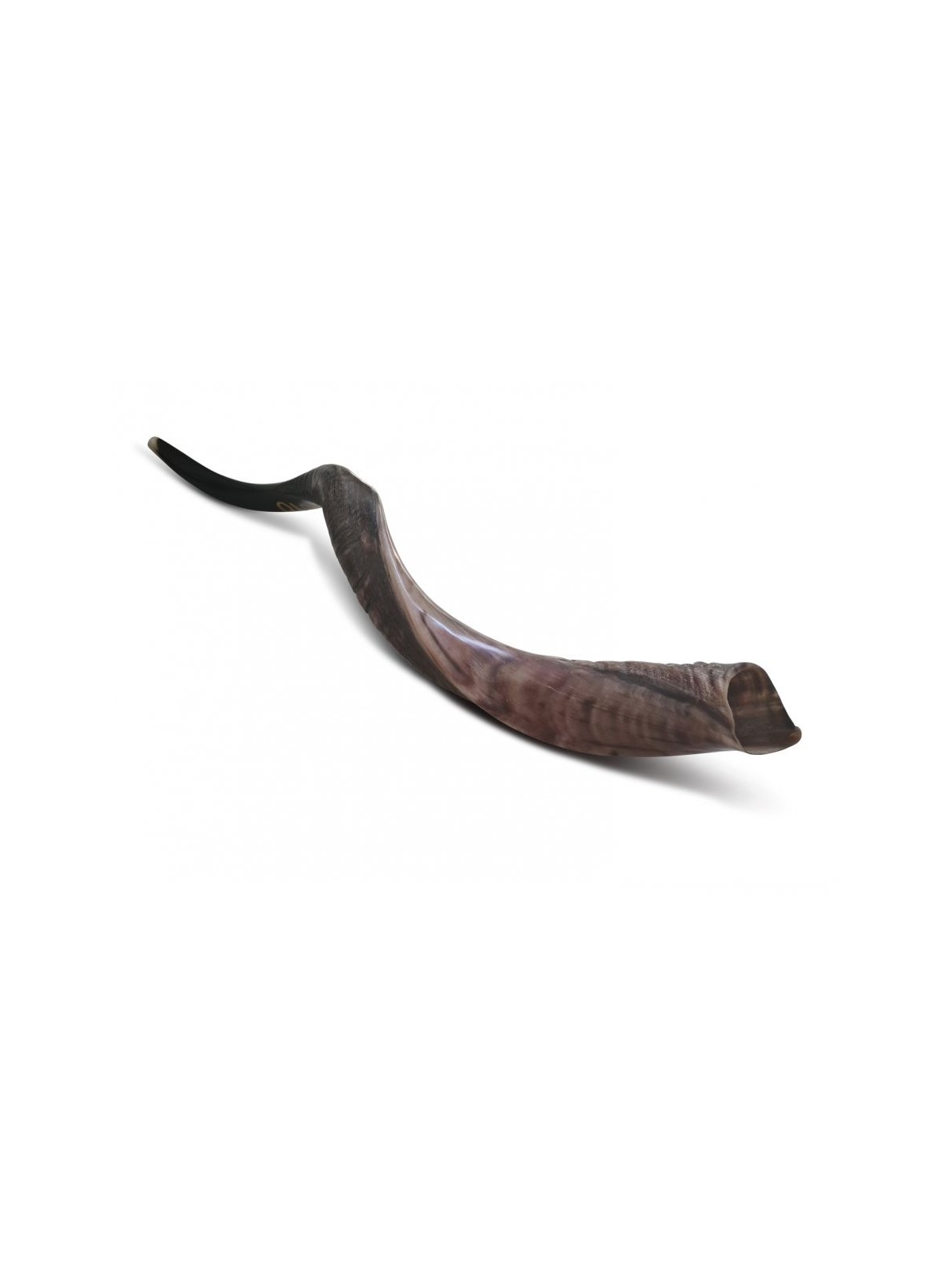 Shofar personnalisé Corne de Kudu yéménite inscrite... | Shofars yéménites