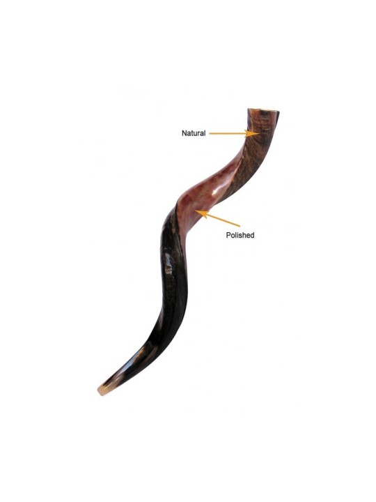 Shofar personnalisé Corne de Kudu yéménite inscrite... | Shofars yéménites