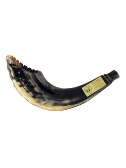 Shofar en Corne de Bélier Style Marocain Couleur Foncé avec... | Shofars en corne de bélier